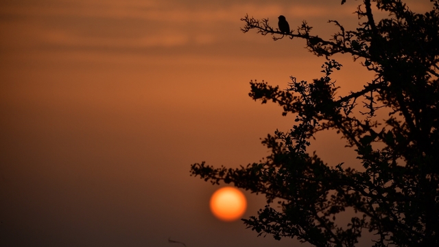 Kuş Cenneti'nde sonbahar