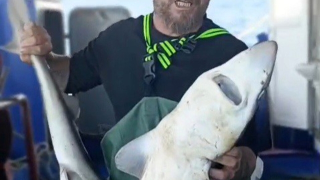 Ağa takılan köpekbalığı denize bırakıldı