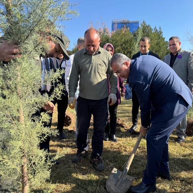 Diyarbakır'da Dünya Prematüre Günü etkinliği