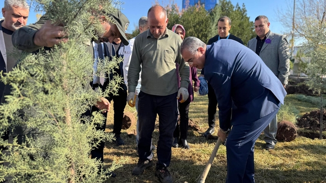 Diyarbakır'da "Dünya Prematüre Günü" etkinliği yapıldı