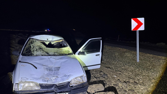 Şanlıurfa'da eşeğe çarpan otomobilin sürücüsü yaralandı