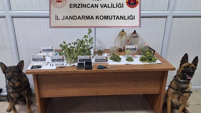 Jandarma Kasım ayı bilançosu: 124 olayın yüzde 93'ü aydınlatıldı