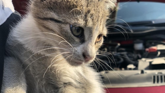 'Kontağı çevirmeden kaputa vurun' uyarısı