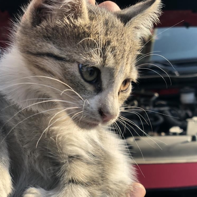 'Kontağı çevirmeden kaputa vurun' uyarısı