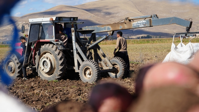 Bayburt'un Çayıryolu köyündeki patates hasadına İranlı işçiler destek veriyor
