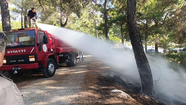 Ormanlık alanda çıkan yangını vatandaşlar söndürdü
Yangının başladığı noktadaki şişe ve çöpler dikkat çekti