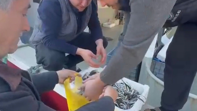 Kasasını 200 liraya alıp, tezgahta kilosunu 200 liraya satan esnaf, balıkçılar tarafından protesto edildi
Esnafa inat, hamsiyi ücretsiz kilo kilo dağıttılar