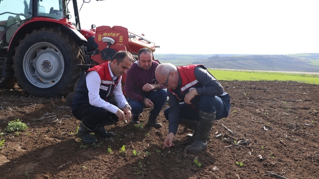 Deneme sahasından elde edilecek veriler bölge tarımına yön verecek
Edirne'de toprak işleme yöntemleri test edildi