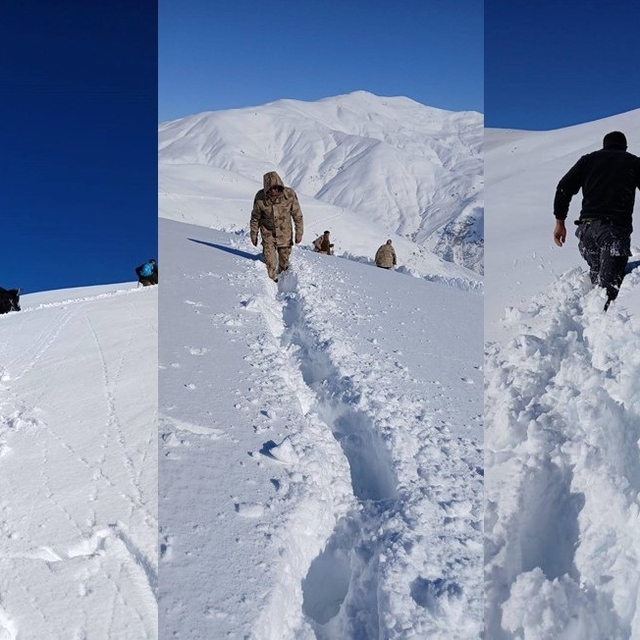 Dağda mahsur kalan 19 büyükbaş ekipler tarafından kurtarıldı