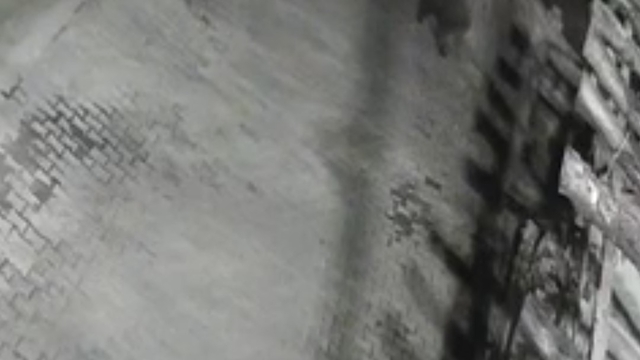 Yerleşim alanına inen ayılar köy sakininden korkup kaçtı