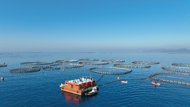 Aydın'da su ürünleri destekleme başvuruları başladı