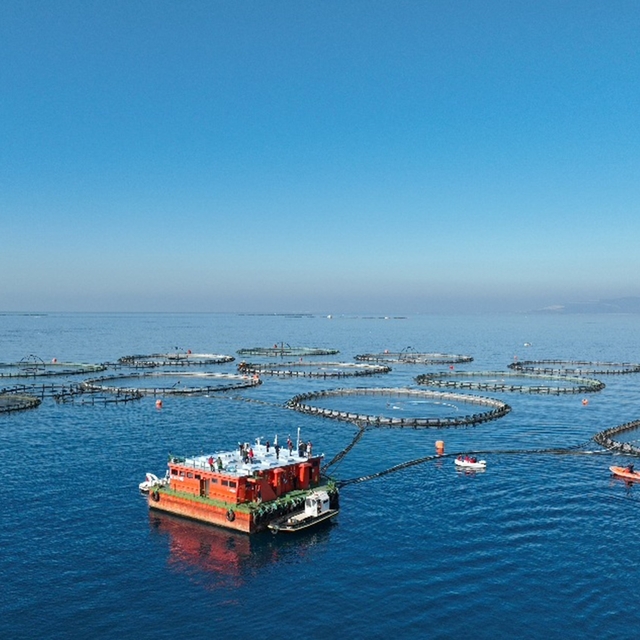 Aydın'da su ürünleri destekleme başvuruları başladı