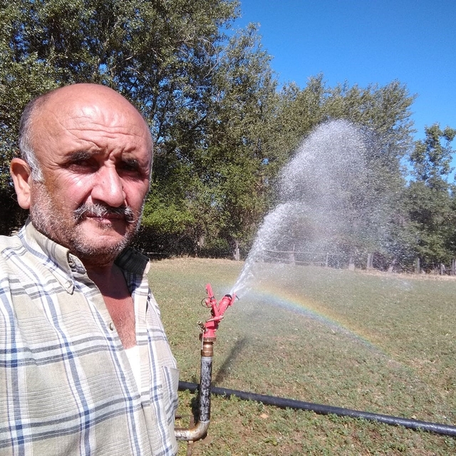 Ölümle sonuçlanan domuz avı sanıkları için istenen ceza belli oldu