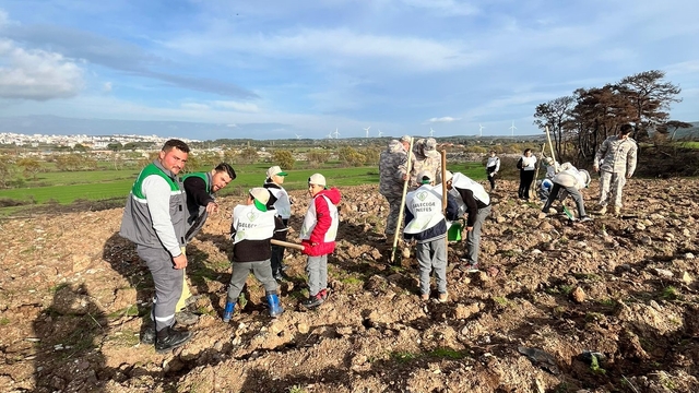 Ayvacık'ta 1500 Fıstık Çamı Fidanı Toprakla Buluşturuldu