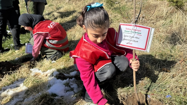 Hakkari'de Türkiye ve Gazze'deki şehitler anısına fidan dikildi