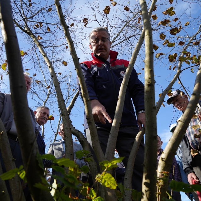 Fındıkta çok dal, çok fındık anlamına gelmiyor
Samsunlu fındık üreticileri,...