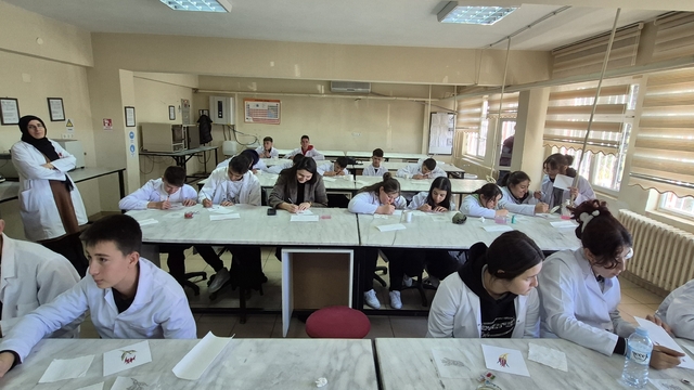 Bahşılı'da Uluslararası İslam Sanatları Günü etkinliği