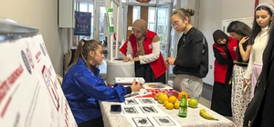 Obeziteye karşı uygulamalı Beden Haritası etkinliği