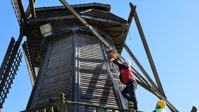 Tarihi Çark ve Yel Değirmeni'nde restore çalışmaları başladı