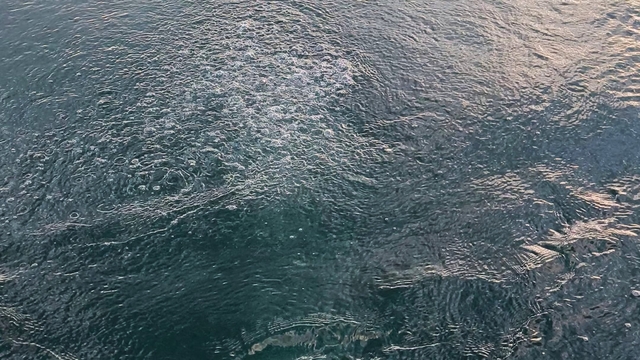 Sapanca Gölü'nde esrarengiz görüntü
Gölün üzerindeki kabarcıklar merak uyandırdı
Hayrete düşüren görüntüleri kaydeden vatandaş, o anları anlattı