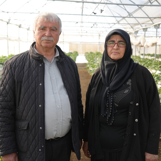 Niğde'de topraksız tarım yöntemiyle çilek üretimi kadın emeğiyle büyüyor