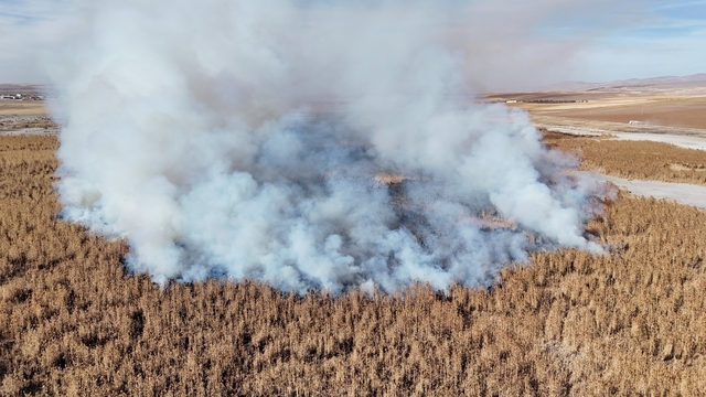 Konya'da sazlık alanda yangını
Sazlıklarda çıkan yangın havadan görüntülendi