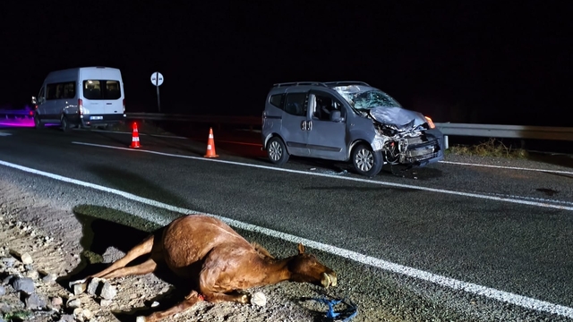 Kars'ta hayvanlara çarpan hafif ticari araçtaki 2 kişi ağır yaralandı