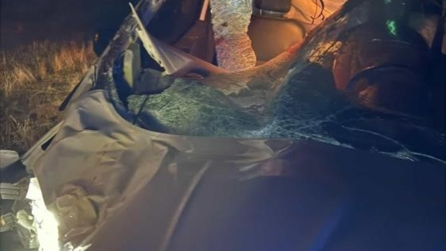 Muş'ta hafif ticari araç ata çarptı: 2 yaralı