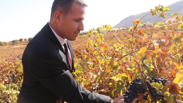 Dicle'de modern bağcılığa yönelik yüzde 50 hibeli tarım aletleri desteği başvurusu başladı