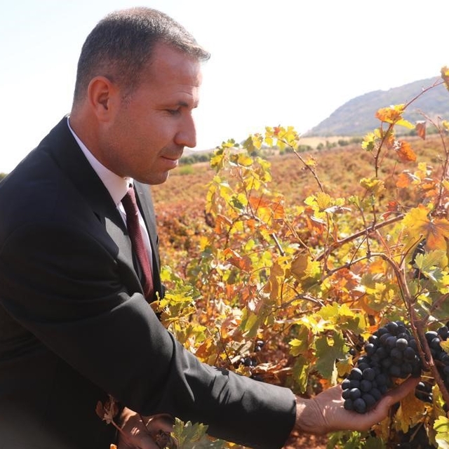 Dicle'de modern bağcılığa yönelik yüzde 50 hibeli tarım aletleri desteği ba...