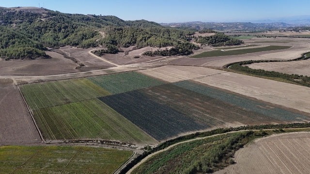 Kuraklığın vurduğu Seyhan Baraj Gölü'nün çevresi tarım arazisi oldu üretim başladı
Son 52 yılın en kurak döneminin yaşandığı Adana'da Seyhan Baraj Gölü'nde de suları çekilince, vatandaşlar bu alanları tarım arazisine çevirip lahana, marul ve baklagiller gibi ürünler ekti