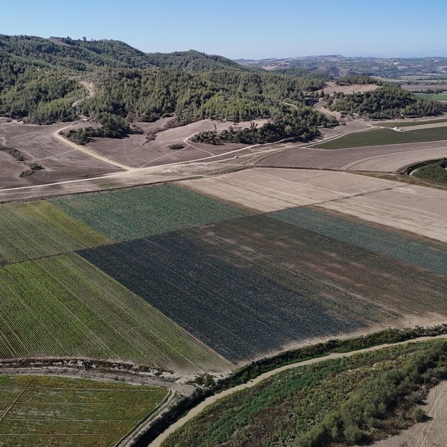 Kuraklığın vurduğu Seyhan Baraj Gölü'nün çevresi tarım arazisi oldu üretim...