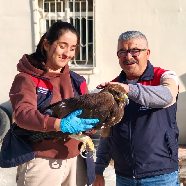 Tunceli'de yaralı halde bulunan kartal, tedavi altına alındı