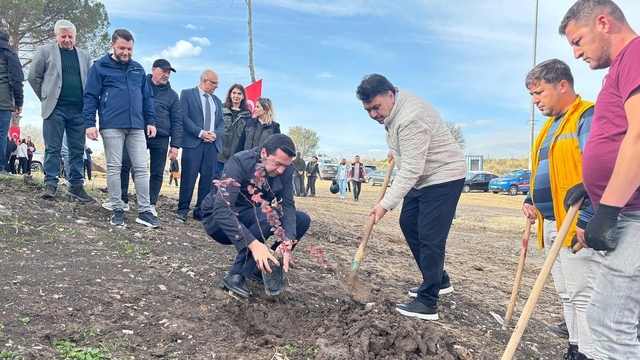 Ağaçlandırma günü etkinliği Havran'da gerçekleştirildi