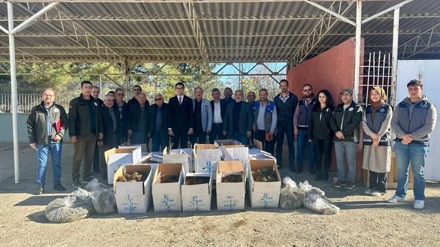 Bilecik'te 42 bin adet çilek fidesi dağıtıldı