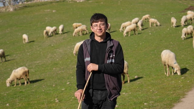 Üniversiteyi okudu, baba ocağına dönüp sürü sahibi oldu
22 yaşındaki Furkan Aşık:
"Hayvancılıkta zarar etmek zor"
"Köye dönünce lakabım 'Küpeli Çoban' oldu"