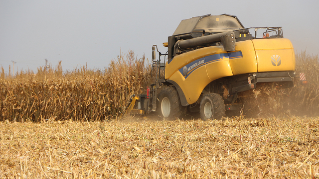 Mardin Ovası'nda mısır hasadı başladı; 2 milyon ton rekolte bekleniyor