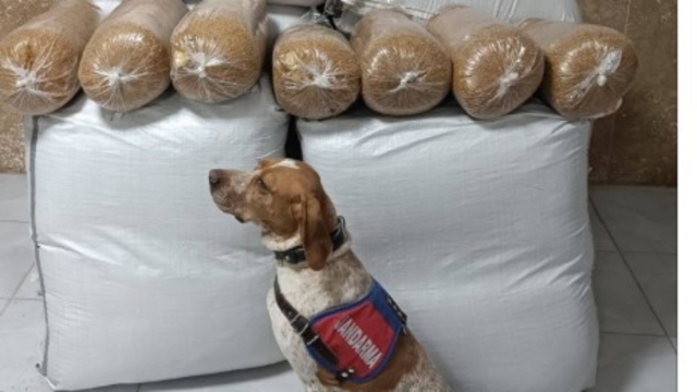 Kırşehir'de yolcu otobüsünde 400 kilogram kaçak tütün ele geçirildi