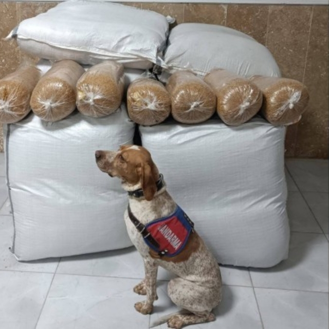 Kırşehir'de yolcu otobüsünde 400 kilogram kaçak tütün ele geçirildi