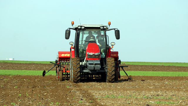 Edirne'de buğdayda kuraklığa karşı en ideal ekim metodu belirlenecek
