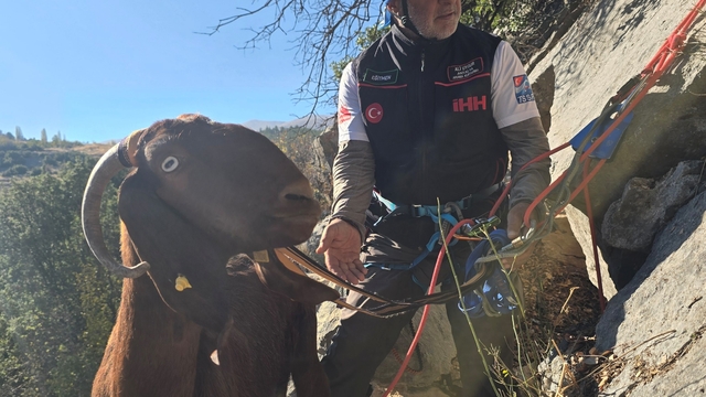 Kaya oyuğuna düşen ve 3 gün mahsur kalan keçi, film gibi operasyonla kurtarıldı