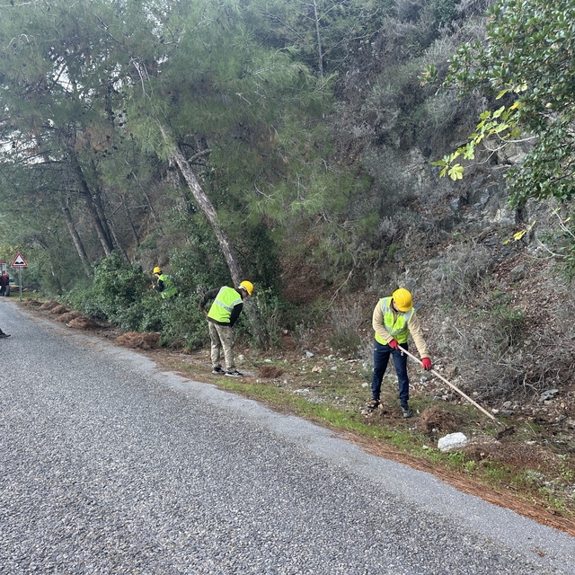 Milli Park'ta risk azaltma çalışmaları sürüyor