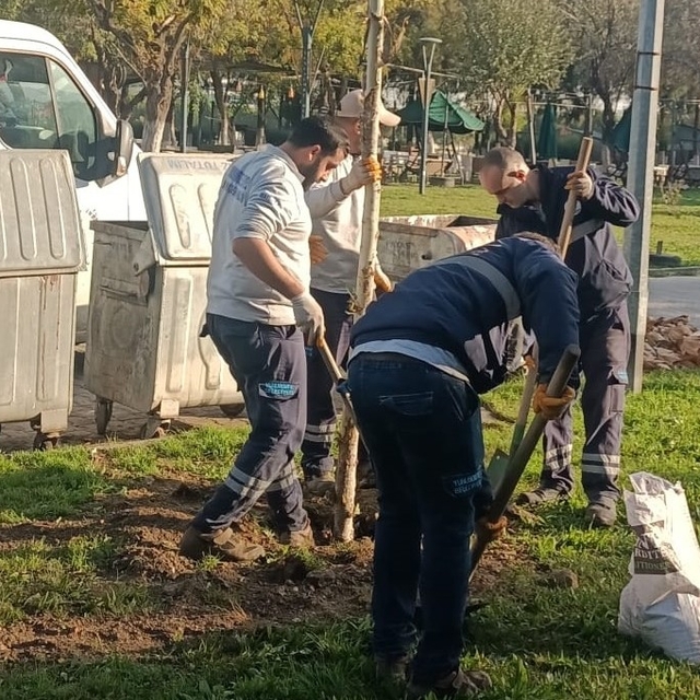 Yunusemre'de ağaçlandırma çalışmaları sürüyor