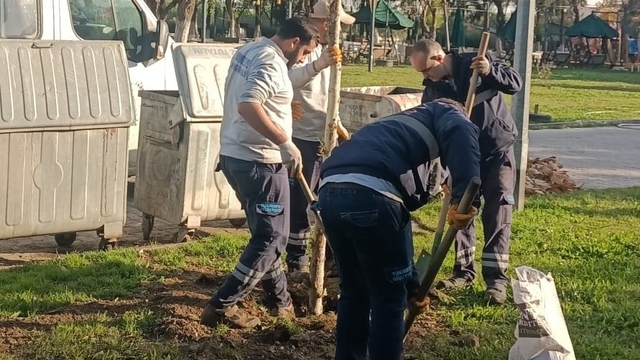 Yunusemre'de ağaçlandırma çalışmaları sürüyor