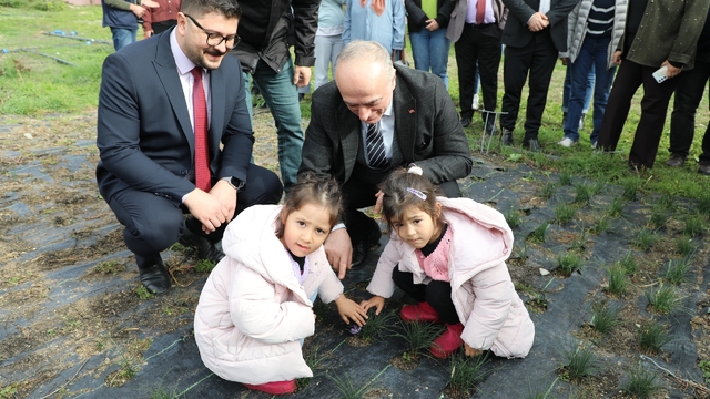 Eskişehir safran üretiminde birincilik yolunda
Son 2 yıl içinde yapılan çalışmalarla safran ekim alanı 122 dekarı geçti