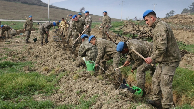 Bolu'da komandolar yeşil vatanda geleceğe nefes oldu