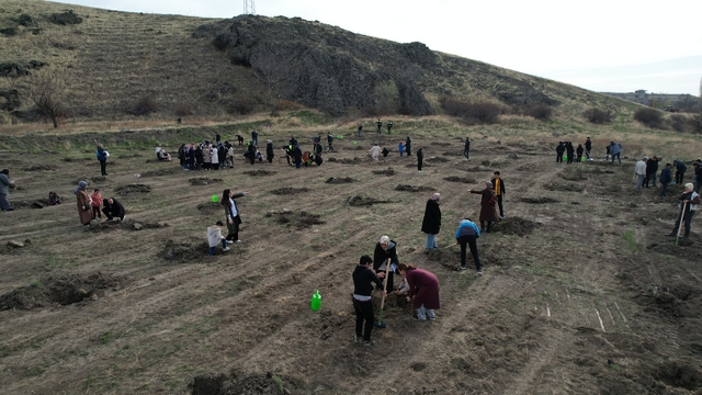 Çubuk'ta fidan dikim etkinliği yapıldı