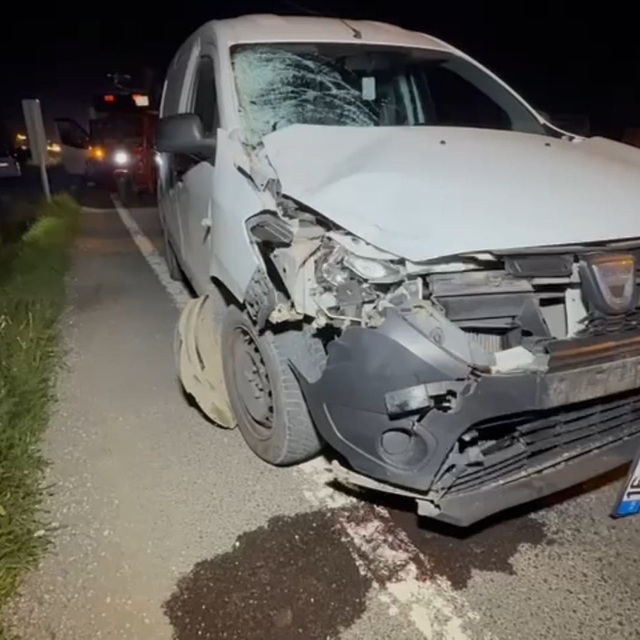 Hafif ticari aracın çarptığı kadın öldü