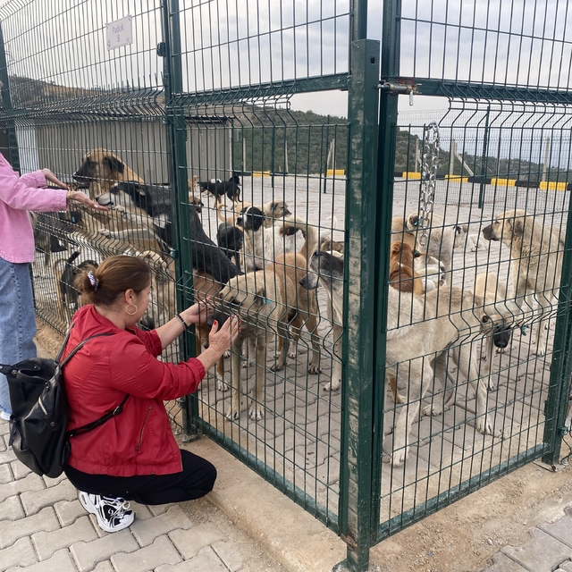 Alaşehir'de 30 dönümlük doğal yaşam alanı açıldı