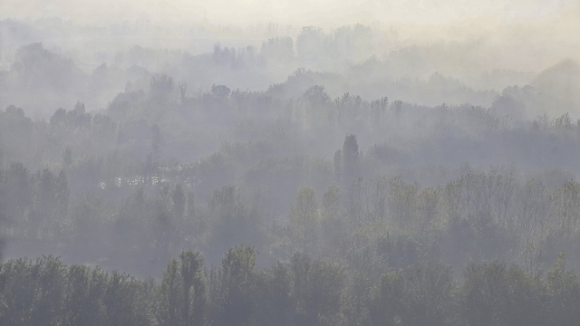 Dicle Vadisi'nde sis manzaraları